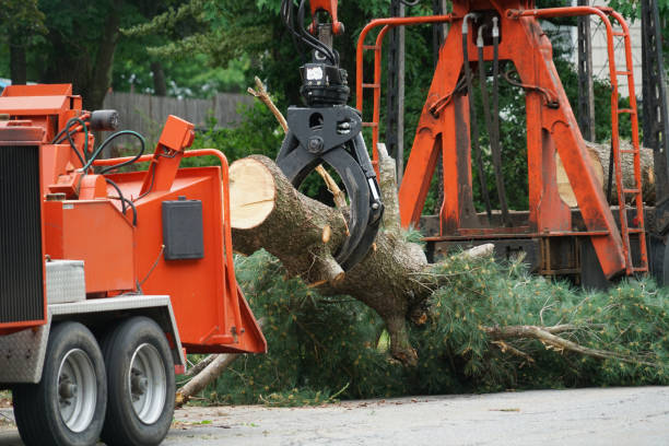 Best Weed Control  in Muskego, WI